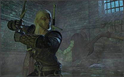 《巫师》(狩魔猎人)图文攻略|The Witcher