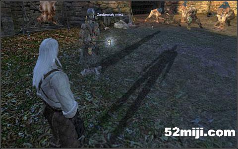 《巫师》(狩魔猎人)图文攻略|The Witcher