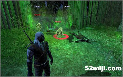 《巫师》(狩魔猎人)图文攻略|The Witcher