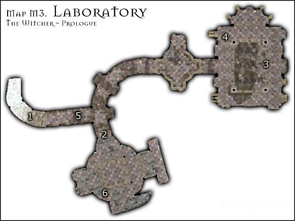 《巫师》(狩魔猎人)图文攻略|The Witcher