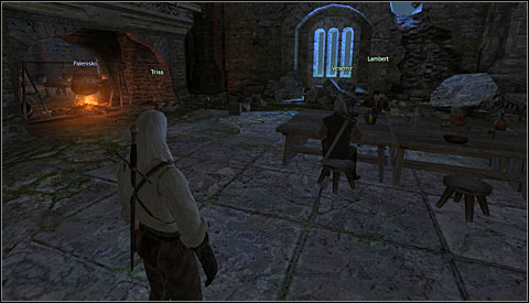 《巫师》(狩魔猎人)图文攻略|The Witcher