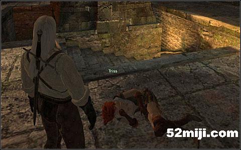 《巫师》(狩魔猎人)图文攻略|The Witcher