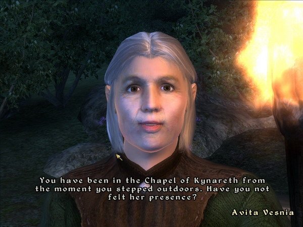 《上古卷轴4：湮灭-九骑士》图文全攻略|The Elder Scrolls IV Oblivion Knights of The Nine