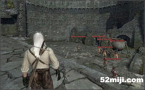 《巫师》(狩魔猎人)图文攻略|The Witcher