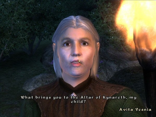 《上古卷轴4：湮灭-九骑士》图文全攻略|The Elder Scrolls IV Oblivion Knights of The Nine