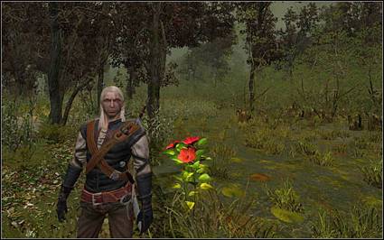 《巫师》(狩魔猎人)图文攻略|The Witcher