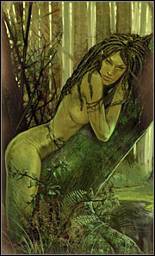 《巫师》(狩魔猎人)图文攻略|The Witcher