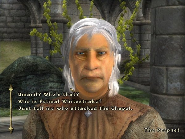 《上古卷轴4：湮灭-九骑士》图文全攻略|The Elder Scrolls IV Oblivion Knights of The Nine