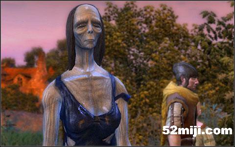 《巫师》(狩魔猎人)图文攻略|The Witcher