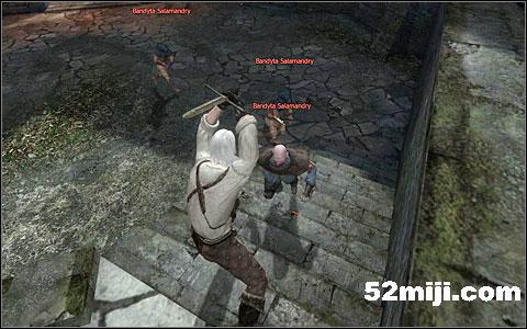 《巫师》(狩魔猎人)图文攻略|The Witcher